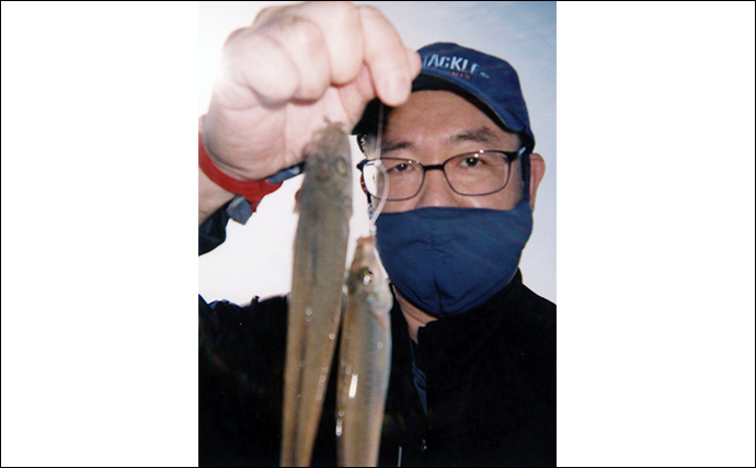 清水港での投げ釣りで18cm級筆頭にシロギス12尾【静岡】正味2時間で手中