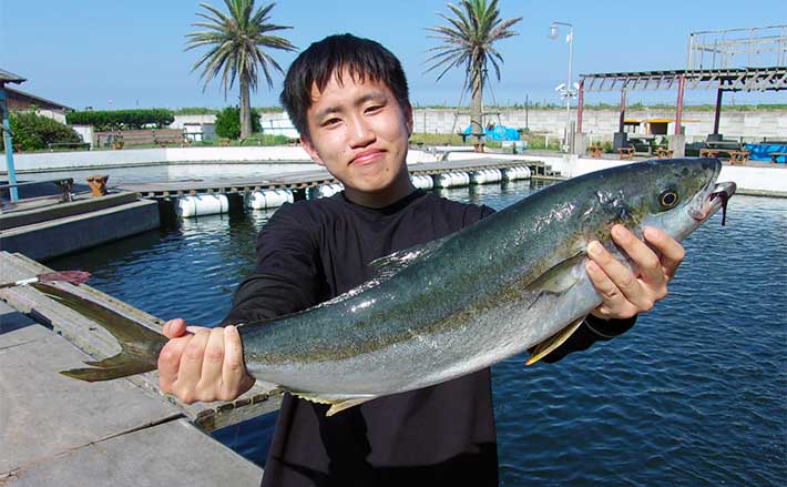 九十九里海釣りセンター』でワラサにマダイにイセエビが釣れる【千葉