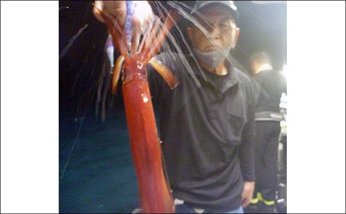 【釣果速報】夜焚きイカ釣りでパラソルサイズ混じりで3ケタ釣果続々（玄界灘）