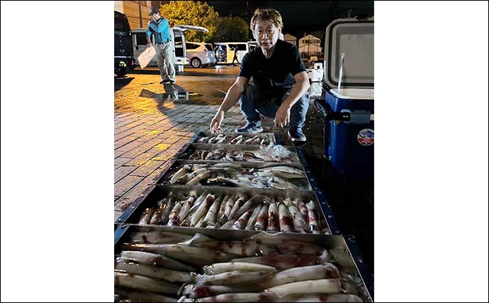 【釣果速報】夜焚きイカ釣りでパラソルサイズ混じりで3ケタ釣果続々（玄界灘）