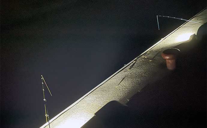 堤防夜釣りでアナゴ3尾【熊本・上天草】シャローには小型タチウオの姿も確認