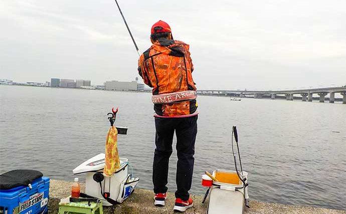 堤防フカセ釣りでクロダイ8匹キャッチ【愛知・常滑りんくう釣り護岸】