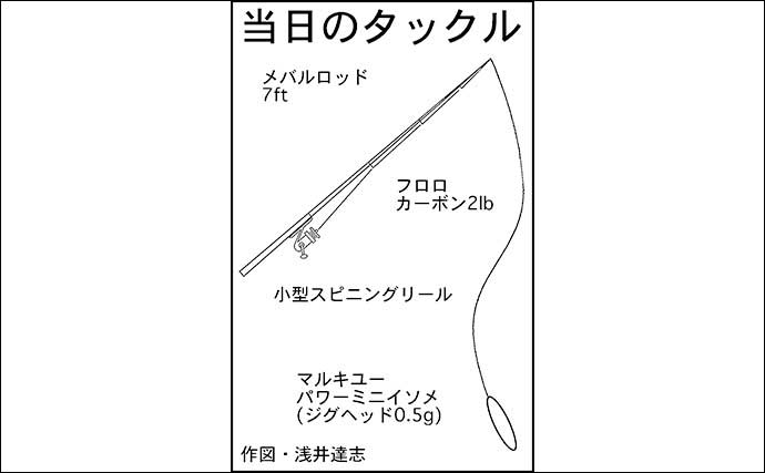 アジング＆夜アナゴ釣行で両本命キャッチ【三重・四日市港】アジはシーズン終盤か