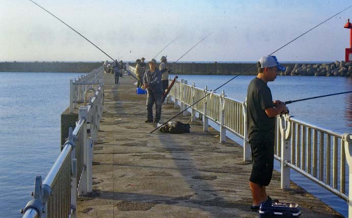 サビキ釣りでアジ・サバ・カマスの数釣り堪能【三重・白子漁港釣り桟橋】
