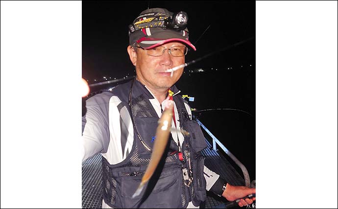豊浜釣り桟橋でのサビキ釣りで小アジ60匹手中【愛知】多点掛けを堪能