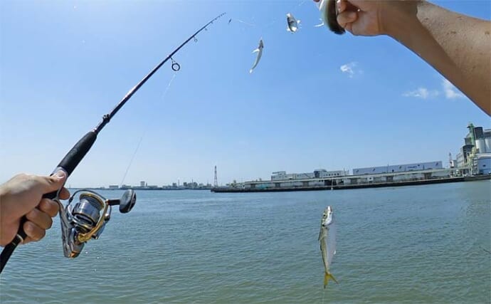 四日市港＆霞釣り公園でのトリックサビキ釣りでアジをキャッチ【三重】