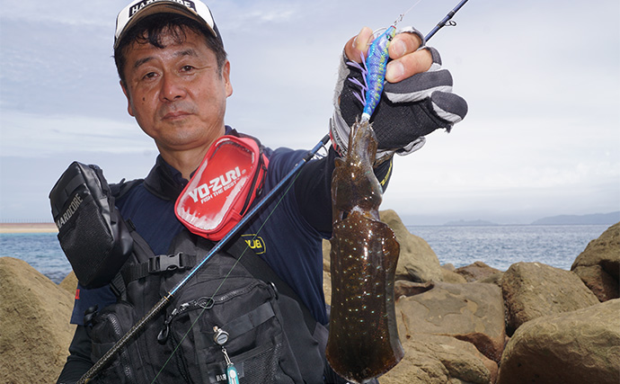 エギングで夏アオリイカ狙い撃ち成功【長崎】カラー選びに迷わない「システムカラー」とは？