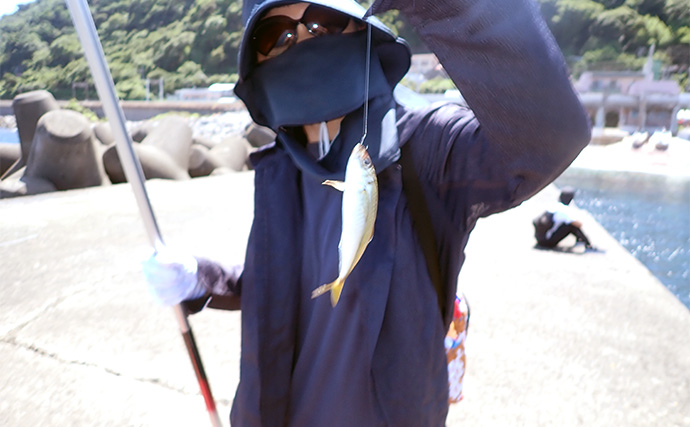 白田堤防での「のべ竿」釣りでシマアジ連発【伊豆】レンタルタックルで挑戦