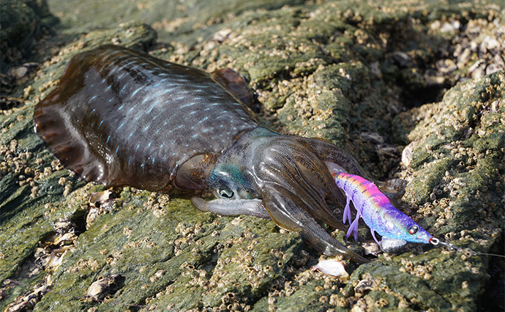 6c6891d34c122794828082fd6d95cb