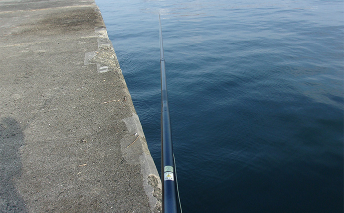 武庫川一文字の落とし込み釣りで良型チヌ3尾【兵庫】釣魚は「フィッシュシェアリング」で寄付