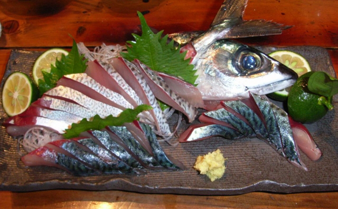 暑い夏に美味しくなるサバは「ゴマサバ」　『胡麻鯖』は郷土料理名？