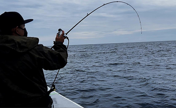 沖の五目釣りで7魚種キャッチに成功【新潟・光海丸】1kg超え大型マゾイも顔出し