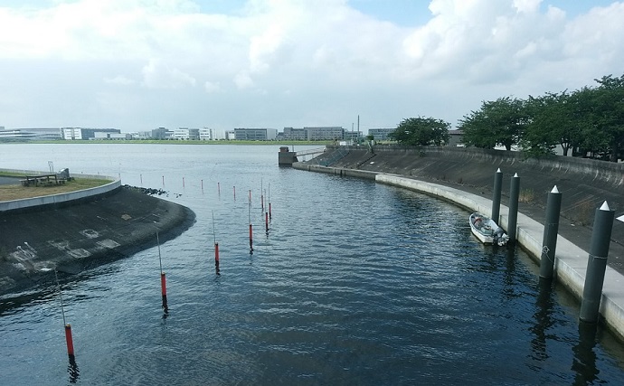 都内の有名ポイントでハゼ釣り調査【大井ふ頭中央海浜公園・海老取川】