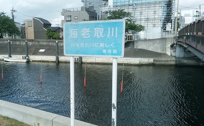 都内の有名ポイントでハゼ釣り調査【大井ふ頭中央海浜公園・海老取川】