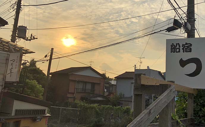 東京湾LTアジ釣りを2週連続満喫【神奈川・つり幸】アジフライは家族に大好評