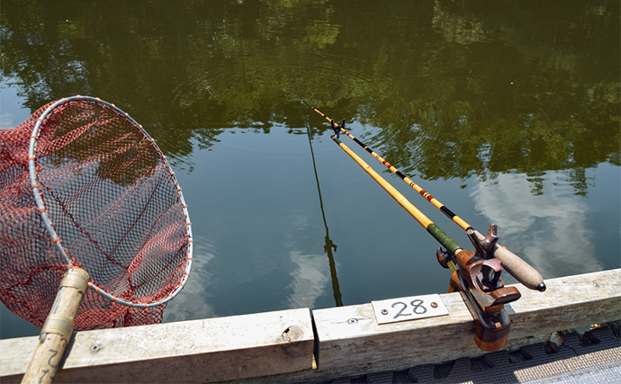 管理池で夏のヘラブナ釣りを満喫【愛知・ひだ池】子供も本命ゲットに笑顔