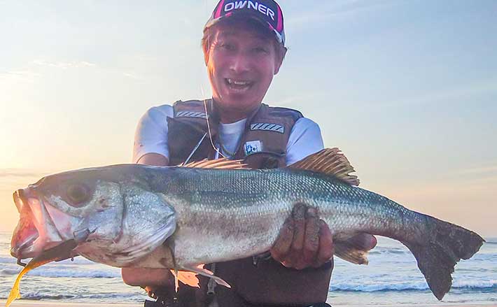 サーフでのルアー釣行で75cmシーバスと肉厚ヒラメをキャッチ【茨城