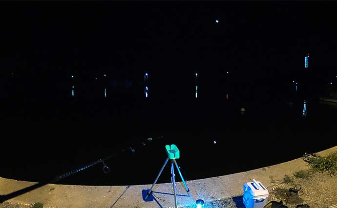深夜〜明け方の漁港でサビキ釣りを堪能【愛知】20cm級頭にアジが大漁