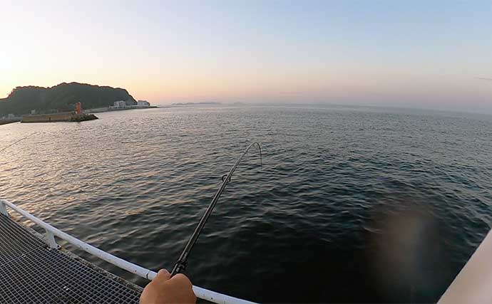 深夜〜明け方の漁港でサビキ釣りを堪能【愛知】20cm級頭にアジが大漁