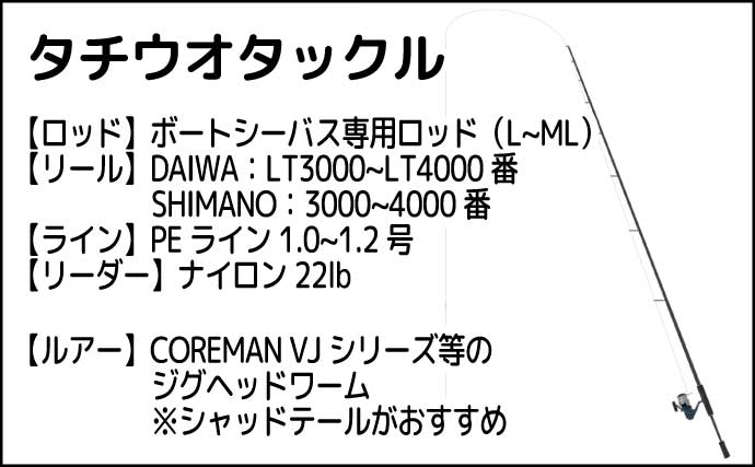 「現役船長のお墨付き！」 夏は【シーバス・タチウオ】リレー釣行がオススメ