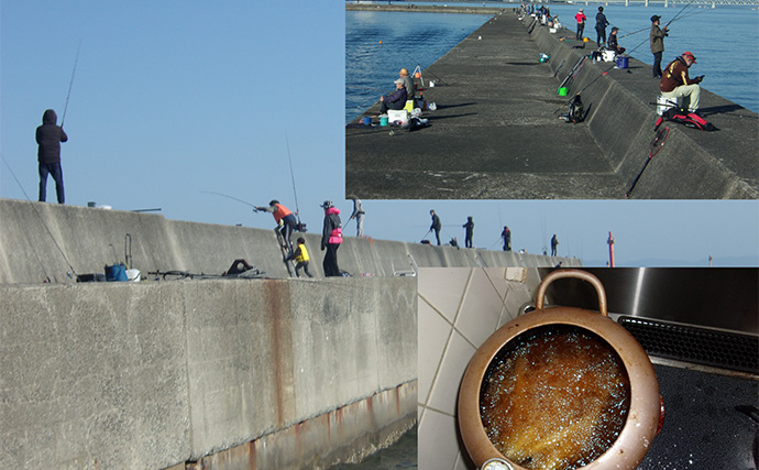 沖防波堤通いの釣り師が食べて感じた【実は美味しかった魚5選】