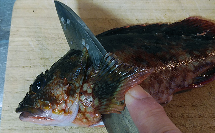 釣魚で作る「夏のさっぱり」レシピ：クロサギのたたき風　薬味で爽やかに