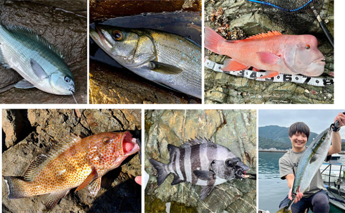オススメ磯釣り場：大分・米水津（よのうづ）　魚種多彩で魚影も「超濃厚」