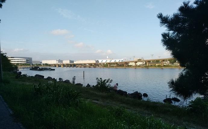 京浜運河でのハゼ釣りで本命25匹【東京・見晴らしばし公園】2時間で手中