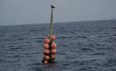 「パヤオ（浮き魚礁）」は南の島の漁業の救世主　自然環境保全にも有効
