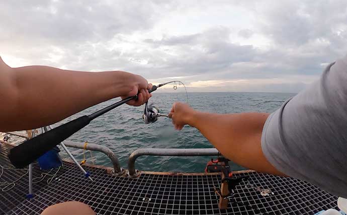 豊浜釣り桟橋でのサビキ釣りで15cm級のアジ・サバでクーラー満タン【愛知】