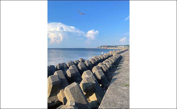 深日港でのジグサビキ釣行で豆アジ手中【大阪】ワームの穴釣りは不発