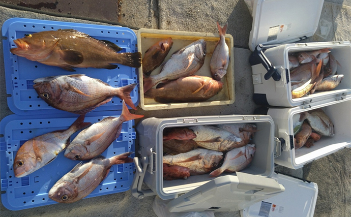 関西エリアの【船釣り特選釣果】 イカメタルで釣る人シロイカ80匹超え