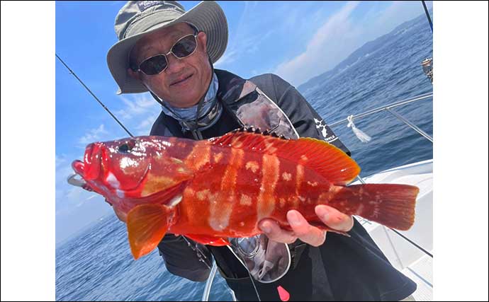 葉山沖でアカハタが絶好調　スイミング釣法の【タックル・リグ・釣り方】を紹介