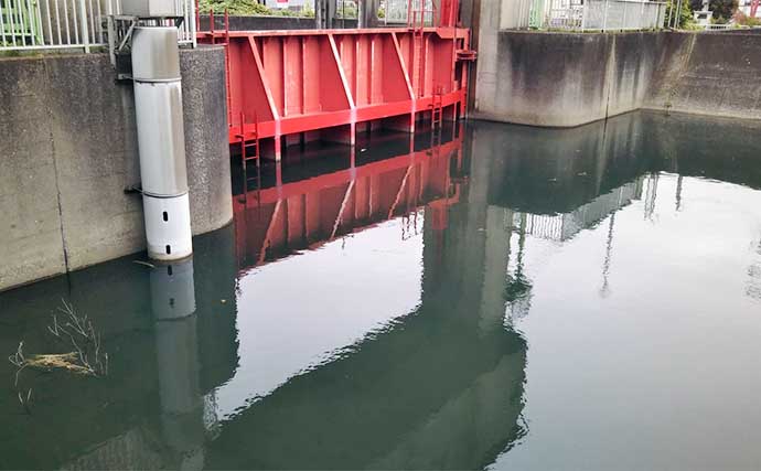 河川のルアーシーバス釣りは【水の流れが超重要】 流れない時の釣り方とは？