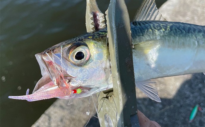 魚釣りのハリ（針）の装飾「ティンセル」「ハゲ皮」を解説　釣果アップに直結