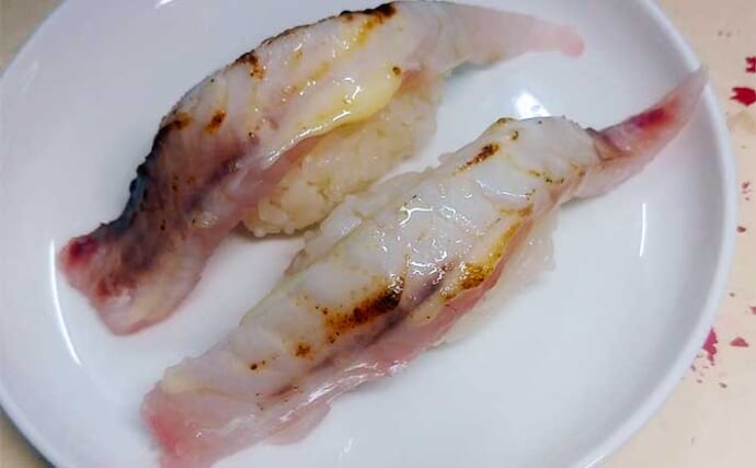 釣魚で作る「握り寿し」レシピ：ヨコスジフエダイの炙り　マヨネーズがキモ