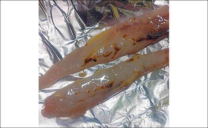 釣魚で作る「握り寿し」レシピ：ヨコスジフエダイの炙り　マヨネーズがキモ