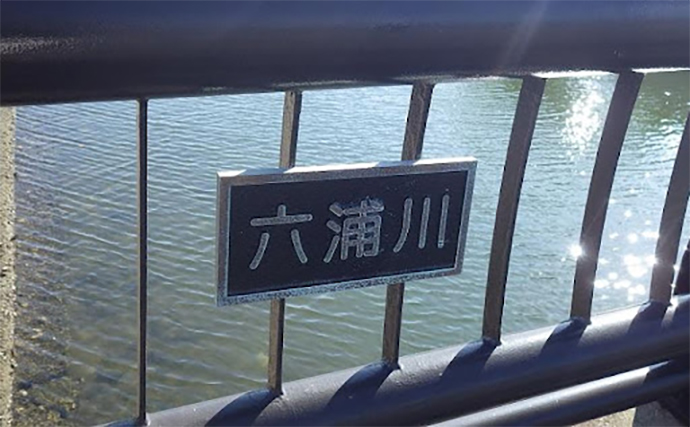 平潟湾でのハゼ釣りで12cm頭に本命好捕【神奈川】釣り人いる場所が狙い目？