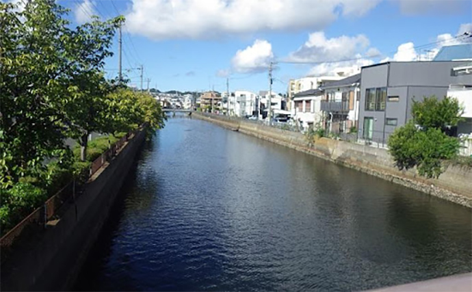 平潟湾でのハゼ釣りで12cm頭に本命好捕【神奈川】釣り人いる場所が狙い目？