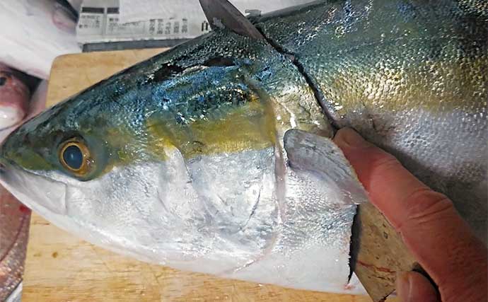 釣魚で作る「時短」レシピ：ハマチの朦朧（もうろう）煮　フライパンだけでOK