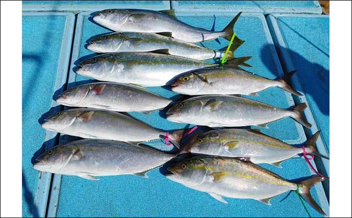 【釣果速報】活きイカ泳がせ釣りで27kg超特大アラ（クエ）浮上（福岡）