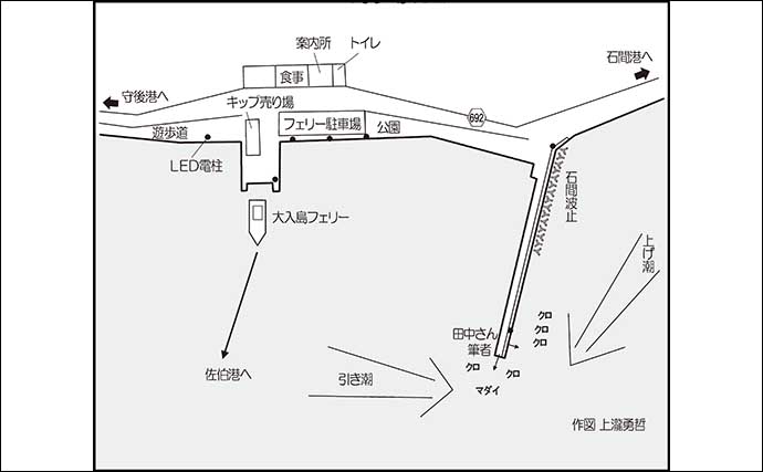 堤防でのウキフカセ釣りでまさかの71cm大型マダイ浮上【大分】夜釣りでヒット