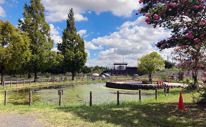 今週のヘラブナ推薦釣り場2023【埼玉・吉川運動公園】