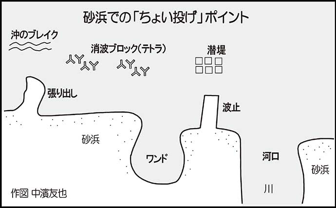 弓ヶ浜での投げ釣りで22cm頭にシロギス40尾【鳥取】入れ食いを堪能