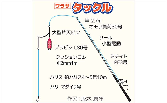 東京湾剣崎沖のコマセワラサ釣りで4kg級ワラサ2尾　マダイも混じる