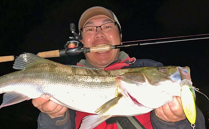 都市河川でのナイトシーバス釣行で60cm頭に本命2尾キャッチ【愛知