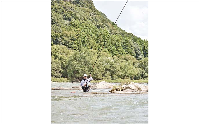 九頭竜川でのアユのトモ釣りで25cm級頭に60匹をキャッチ【福井】