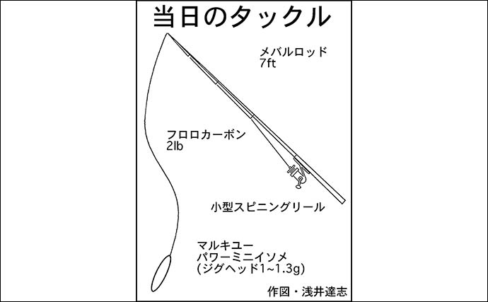 四日市港のアジング釣行で20cm超アジ好捕【三重】想定外ゲストにスッポン