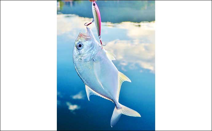 メッキゲーム釣行でギンガメアジにロウニンアジの快引を堪能【三重・南伊勢】