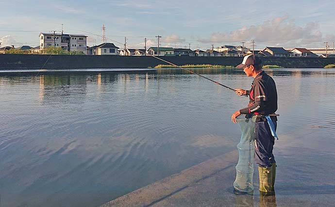 佐奈川河口での餌ハゼ釣りで本命250匹超え【愛知】釣果は買い取り店へ持ち込み